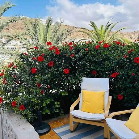 Schoener Mit Terrasse Und Pool
